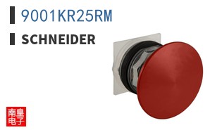 9001KR25RM