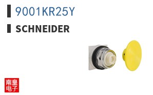 9001KR25Y