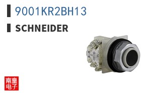 9001KR2BH13