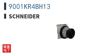 9001KR4BH13