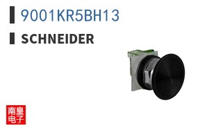 9001KR5BH13