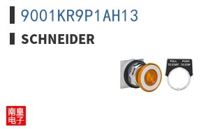 9001KR9P1AH13