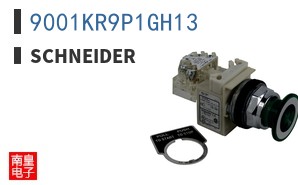 9001KR9P1GH13