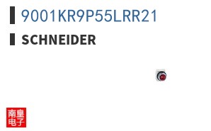 9001KR9P55LRR21
