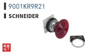 9001KR9R21