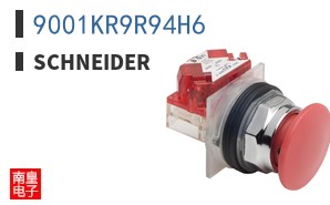 9001KR9R94H6