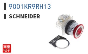 9001KR9RH13