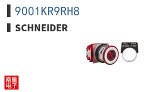 9001KR9RH8