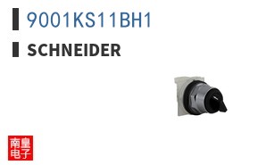 9001KS11BH1