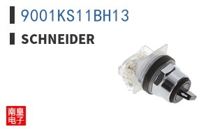 9001KS11BH13