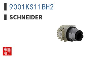 9001KS11BH2