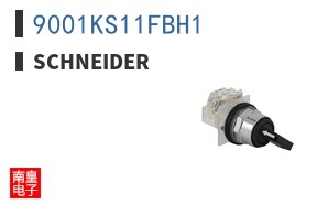 9001KS11FBH1