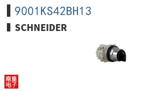 9001KS42BH13