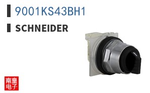 9001KS43BH1