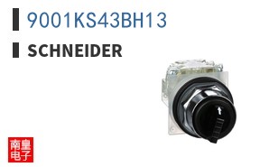 9001KS43BH13