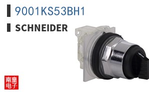 9001KS53BH1