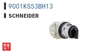 9001KS53BH13
