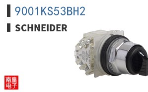 9001KS53BH2
