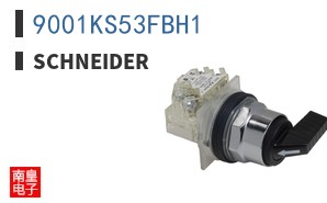 9001KS53FBH1