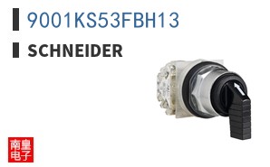 9001KS53FBH13
