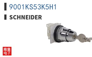 9001KS53K5H1