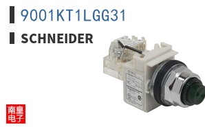 9001KT1LGG31