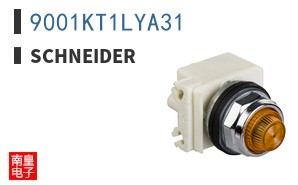 9001KT1LYA31