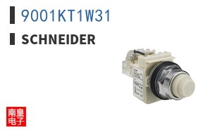 9001KT1W31