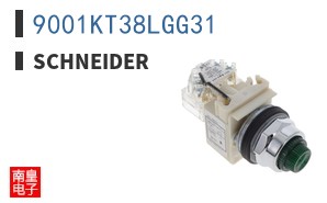 9001KT38LGG31
