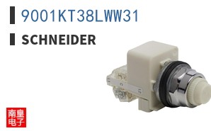 9001KT38LWW31