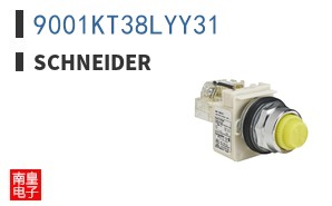 9001KT38LYY31