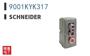 9001KYK317