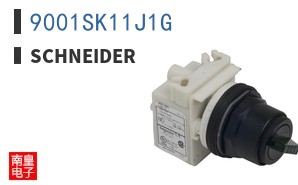 9001SK11J1G