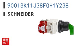 9001SK11J38FGH1Y238