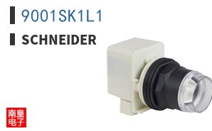 9001SK1L1