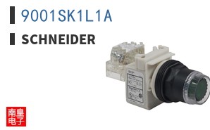 9001SK1L1A