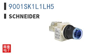 9001SK1L1LH5