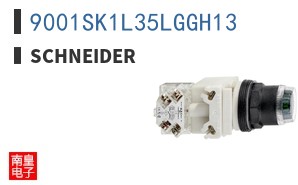 9001SK1L35LGGH13