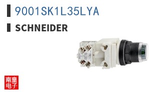 9001SK1L35LYA