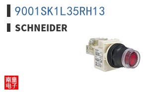 9001SK1L35RH13