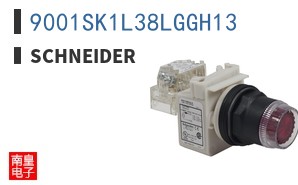 9001SK1L38LGGH13