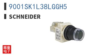 9001SK1L38LGGH5