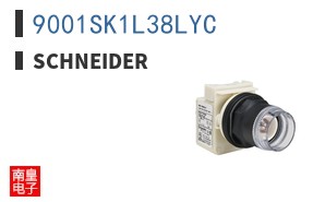 9001SK1L38LYC