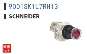 9001SK1L7RH13