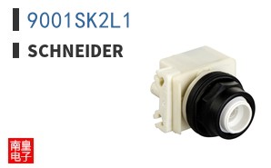 9001SK2L1