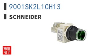 9001SK2L1GH13