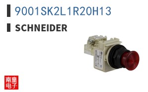 9001SK2L1R20H13
