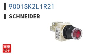 9001SK2L1R21
