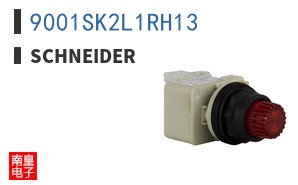 9001SK2L1RH13