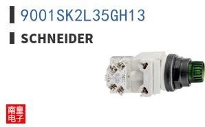 9001SK2L35GH13